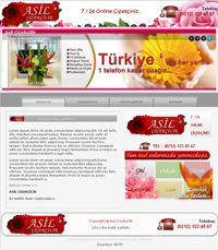 Çiçekçi web sitesi